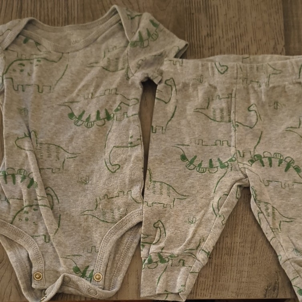 Dinosaur Print Baby Onesie and Pants Set